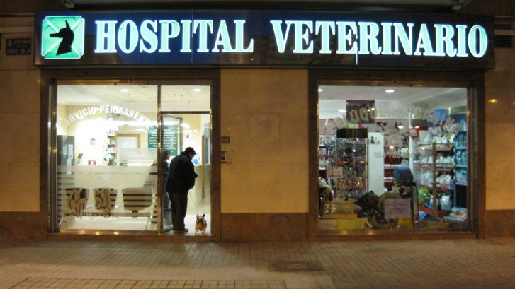 urgencia veterinaria